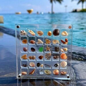 oem/odm acrylic magnetic seashell display box clear case 36/64/100 stackable grids holder container decorative jewelry nail starfish seashell trinke organizer box (36 grids) wholesale supplier & factory