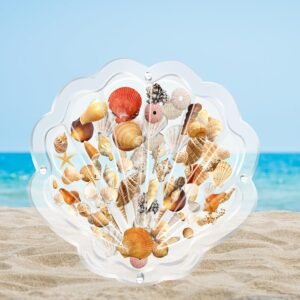 oem/odm acrylic magnetic seashell display box, clear seashell display case, sea shell storage box, small craft organizers container (shell shape) wholesale supplier & factory
