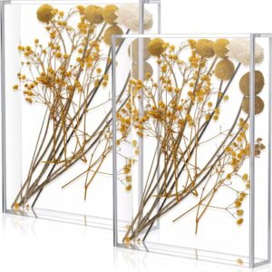oem/odm barydat 2 pcs acrylic shadow boxes display cases, shadow box diy frame clear acrylic display cases wedding memory dried flower container picture photo frame for valentine's day wedding(8 x 10'') wholesale supplier & factory