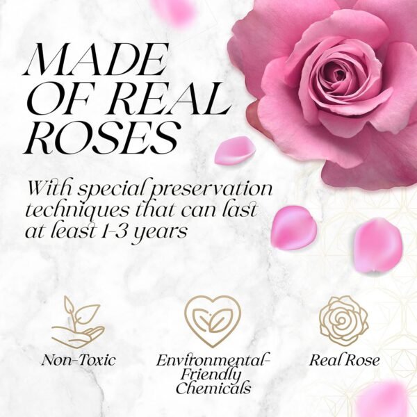 oem/odm preserved roses in a box - gifts for her & mom, 16-piece rose flowers decor for birthday gift, cased in white box with acrylic cover, 6.9" x 6.9" x 5.5" - pink wholesale supplier & factory