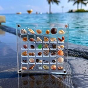 oem/odm acrylic magnetic seashell display box,clear organizer box container craft storage for beads,nails,jewelrys,gemstones,seashell wholesale supplier & factory