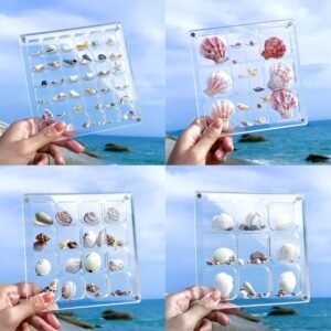 oem/odm multi-style clear acrylic magnetic seashell display collecting box, acrylic shadow box for tiny treasure hunting seashell holder display grid cabinet case box,display seashell jewelry crystal wholesale supplier & factory