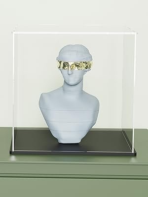 oem odm svenjbb acrylic display case, 7x7x7 inch acrylic boxes for display, clear display cases with matte black base and lid for collectibles factory & wholesale supplier
