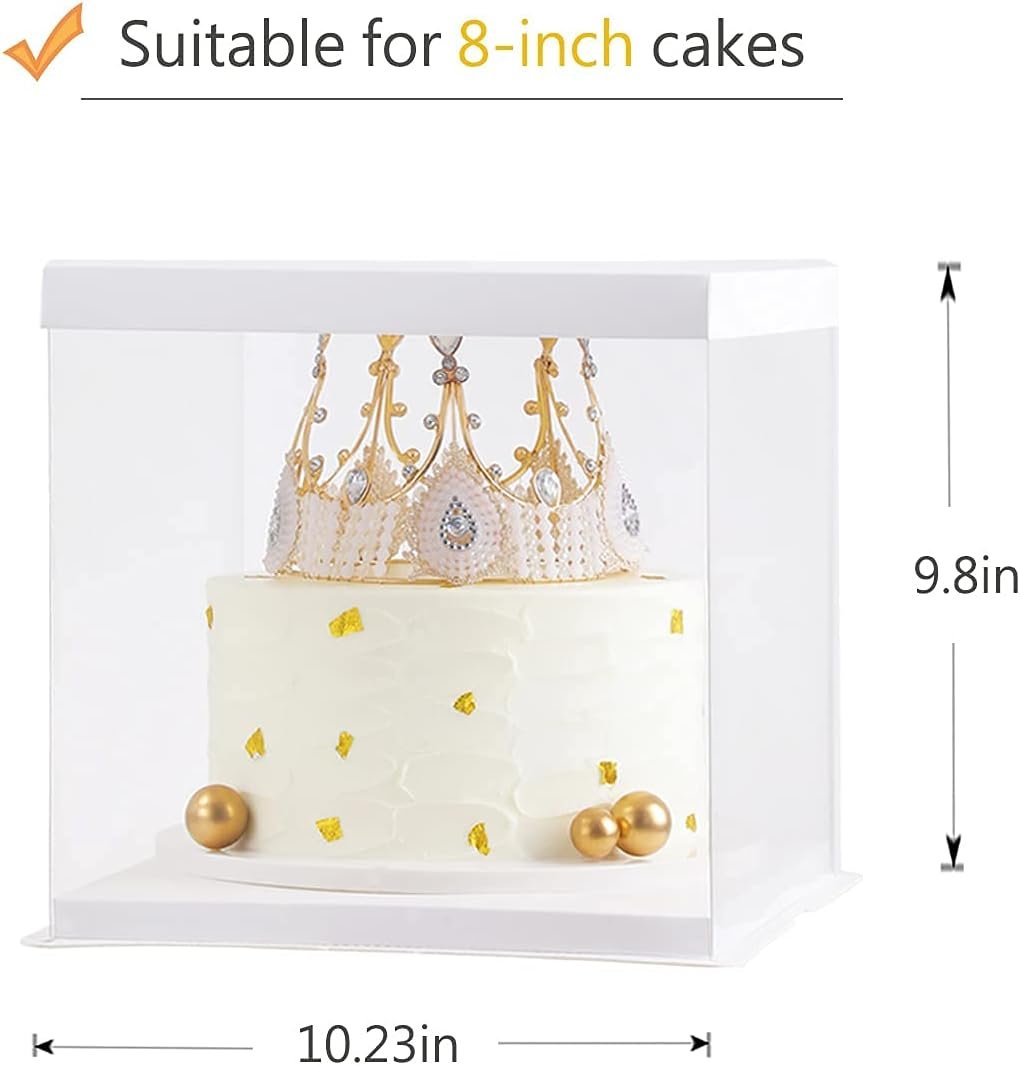 oem odm xininsun 2pcs large cake pet clear box, 10