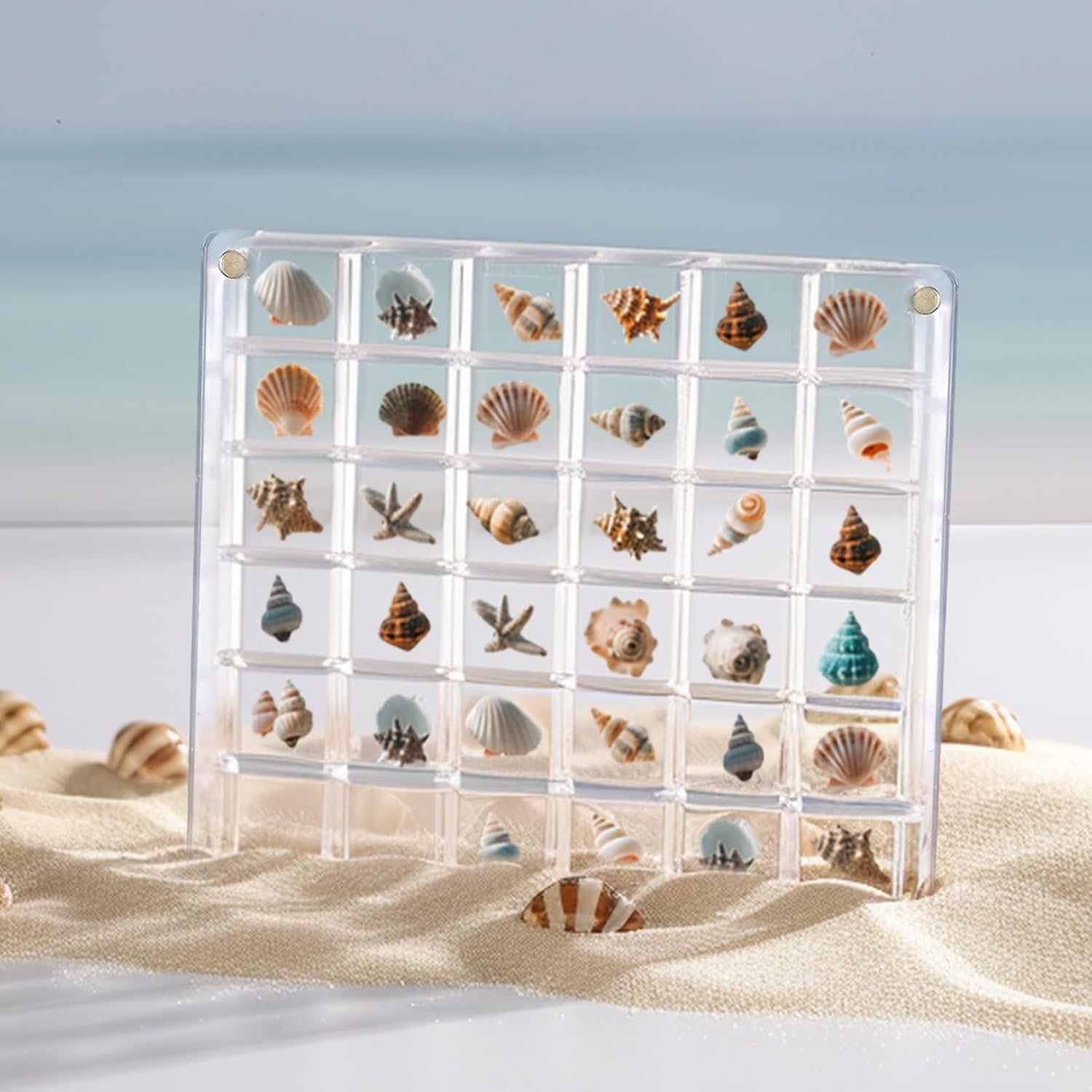 wholesale acrylic seashell display box,clear sea shell holder display box,beach shelling collecting tools,storage organizer tiny case for seashell diamond beads (4 pack-144 grids) factory & supplier oem odm