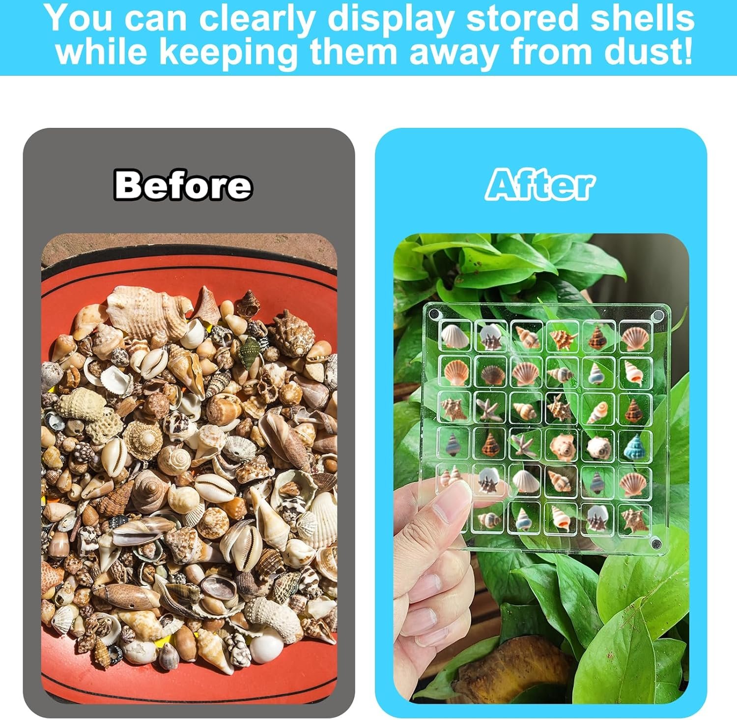 wholesale acrylic seashell display box,clear sea shell holder display box,beach shelling collecting tools,storage organizer tiny case for seashell diamond beads (4 pack-144 grids) factory & supplier oem odm