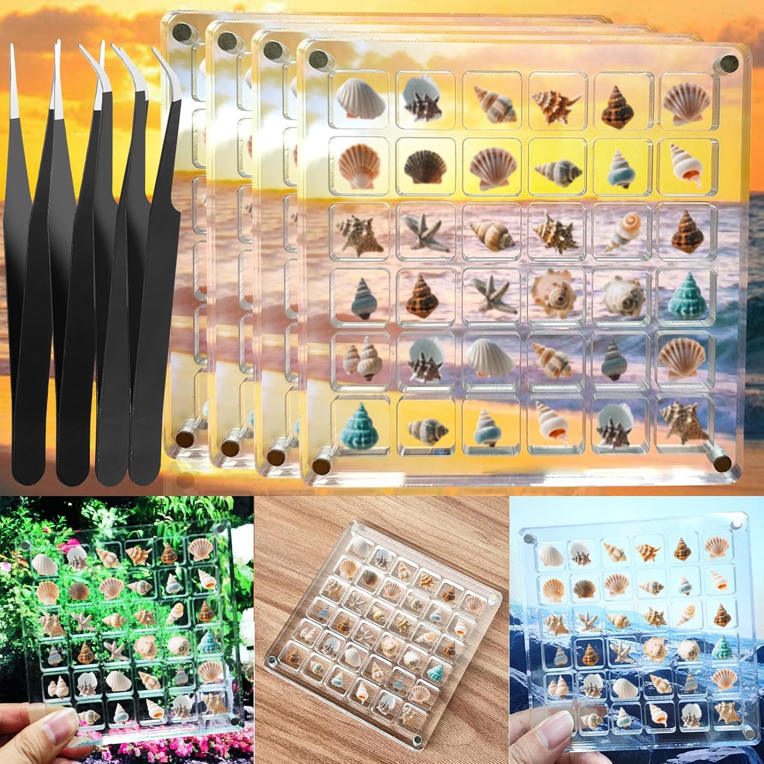 wholesale acrylic seashell display box,clear sea shell holder display box,beach shelling collecting tools,storage organizer tiny case for seashell diamond beads (4 pack-144 grids) factory & supplier oem odm