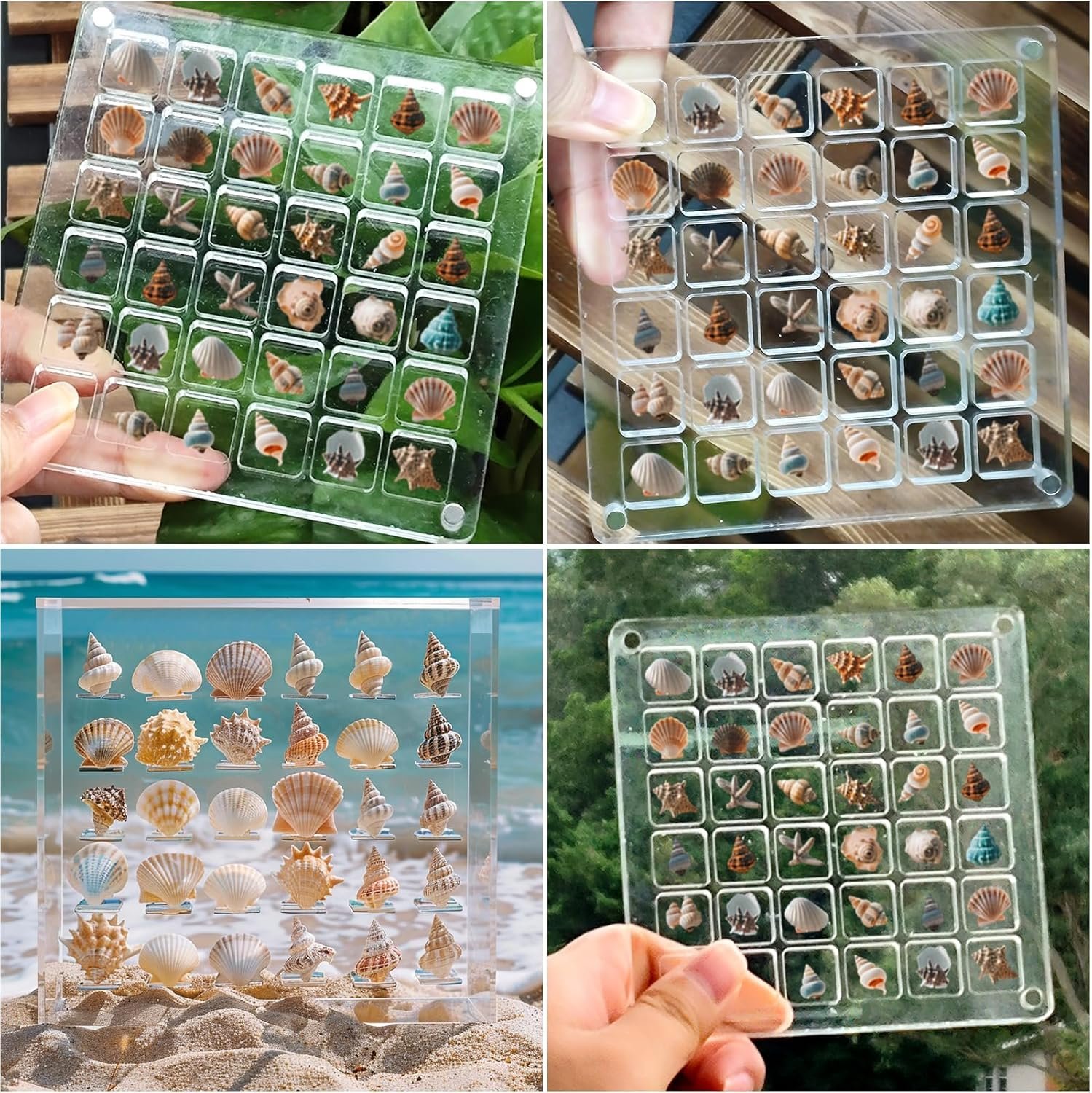 wholesale acrylic seashell display box,clear sea shell holder display box,beach shelling collecting tools,storage organizer tiny case for seashell diamond beads (4 pack-144 grids) factory & supplier oem odm