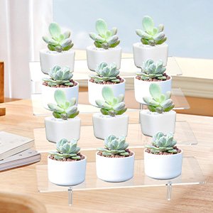 wholesale acrylic display riser stand shelf clear 4 tier cupcake stand perfume display holder figures desktop decoration and organizer showcase toys retail display rack candy dessert buffet 4 step collection (1 pack) factory & supplier oem odm