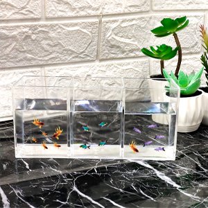 oem odm clear makeup brush organizer,acrylic cosmetic brushes storage holder with 3 slots,pencil pen holder for desk,desk organizer and accessories for vanity factory & wholesale supplier
